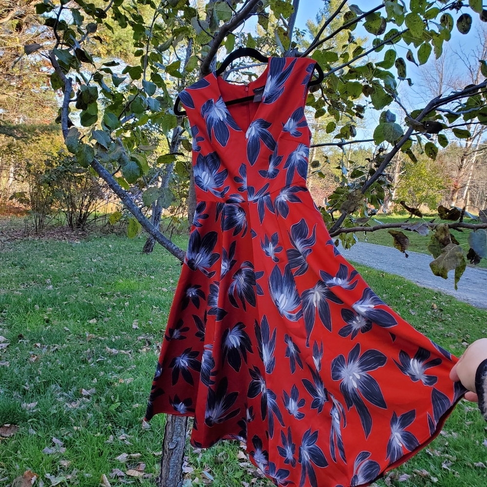 Silky Red Floral Dress Ann Taylor